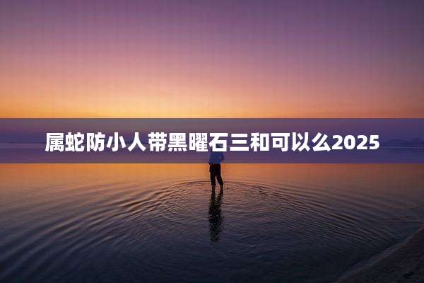 属蛇防小人带黑曜石三和可以么2025
