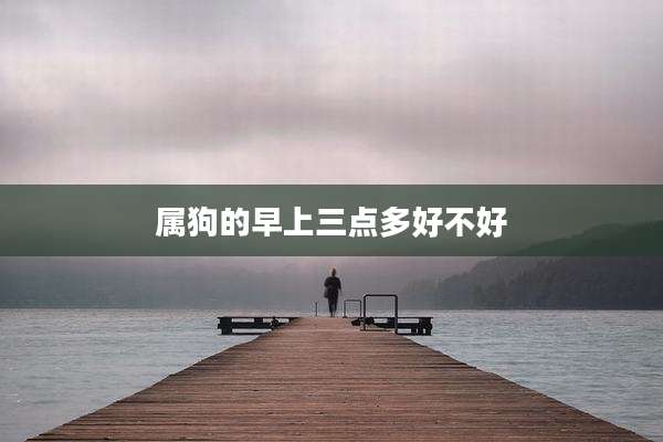 属狗的早上三点多好不好