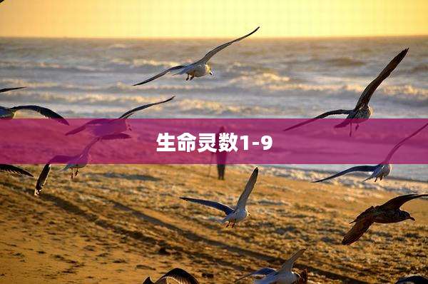 生命灵数1-9