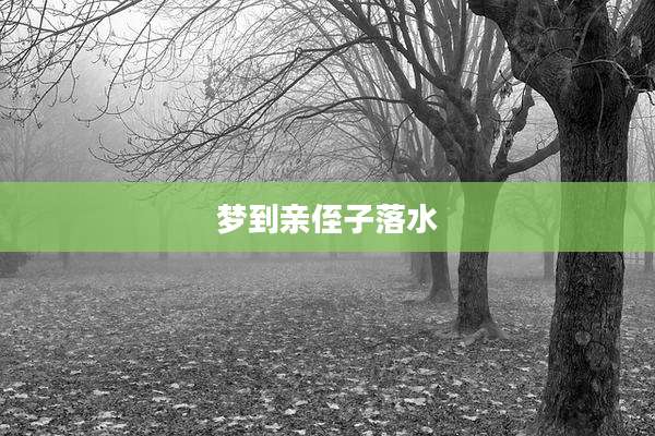 梦到亲侄子落水
