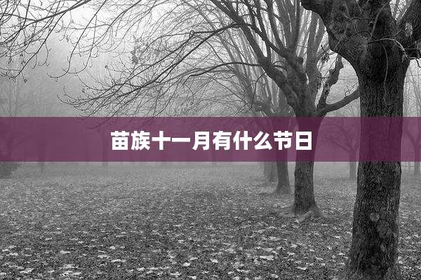 苗族十一月有什么节日