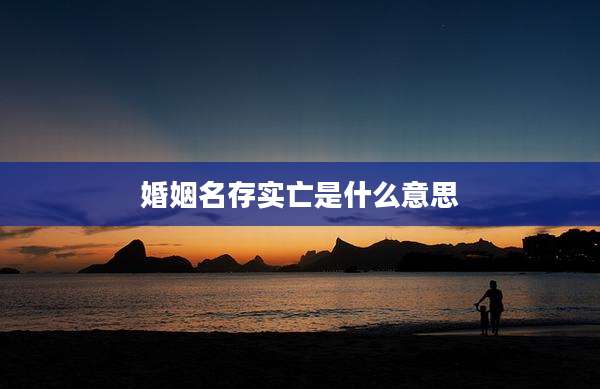 婚姻名存实亡是什么意思