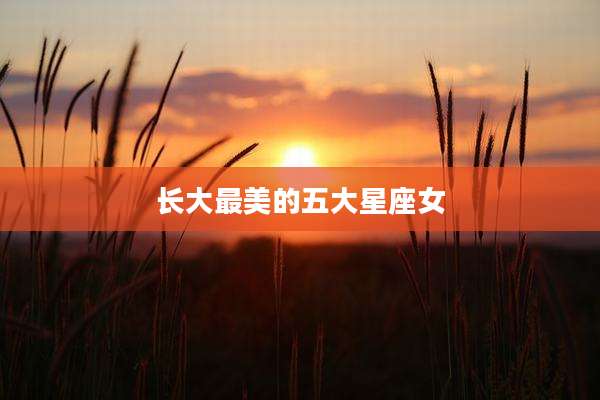长大最美的五大星座女