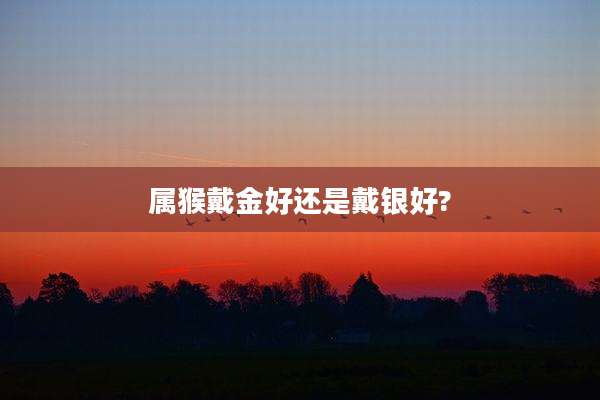 属猴戴金好还是戴银好?
