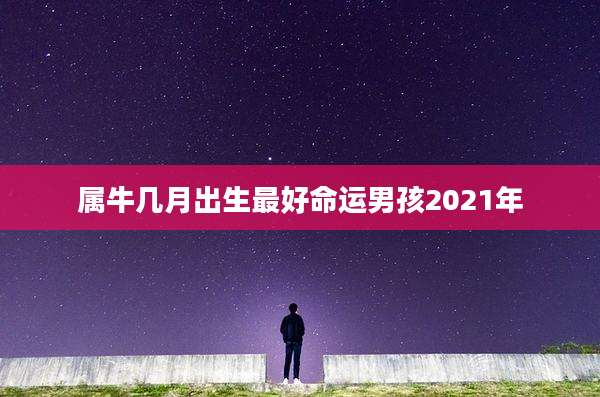 属牛几月出生最好命运男孩2021年