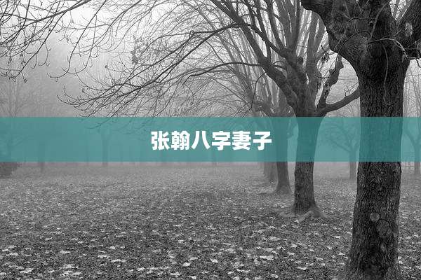 张翰八字妻子