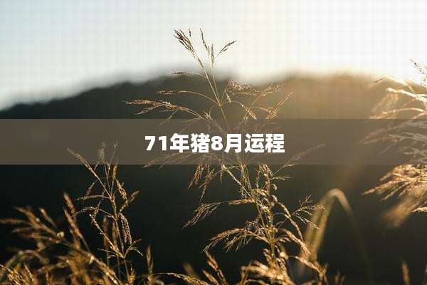 71年猪8月运程