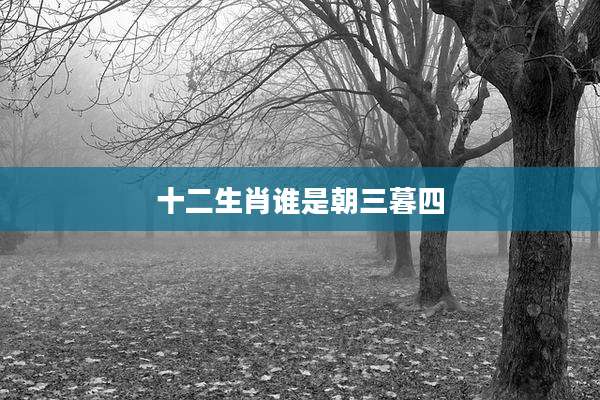 十二生肖谁是朝三暮四