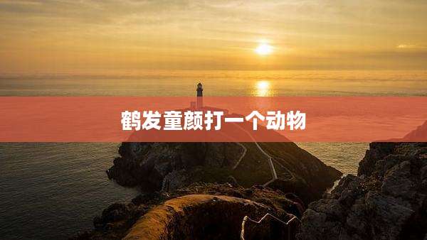 鹤发童颜打一个动物