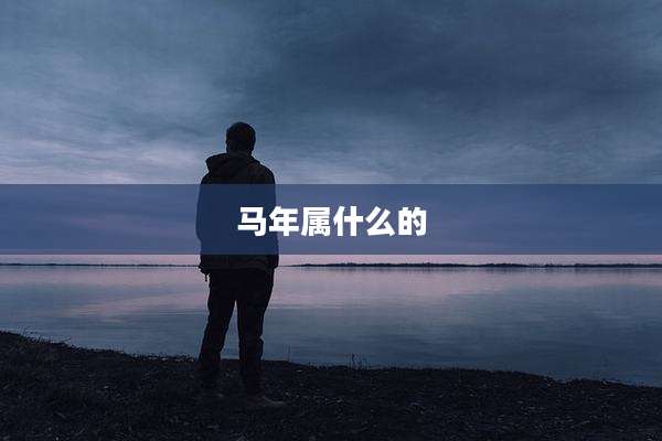 马年属什么的
