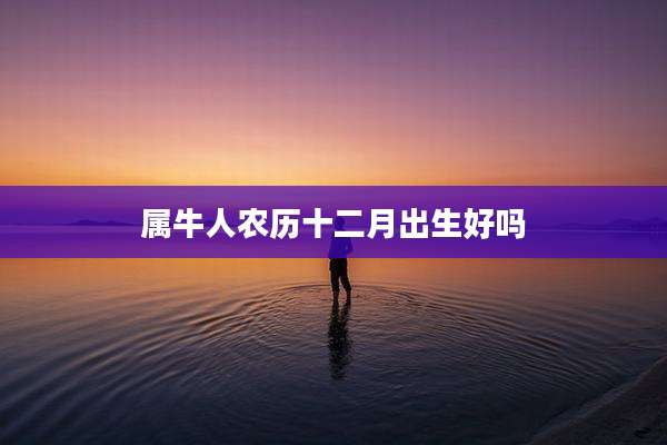 属牛人农历十二月出生好吗