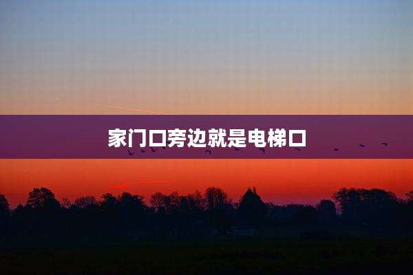 家门口旁边就是电梯口