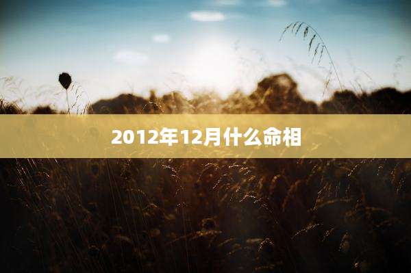 2012年12月什么命相