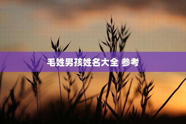 毛姓男孩姓名大全 参考