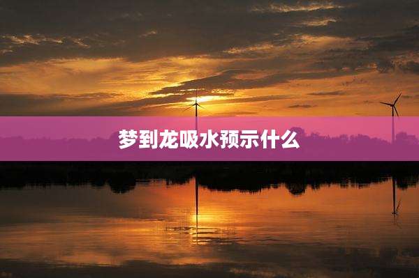 梦到龙吸水预示什么