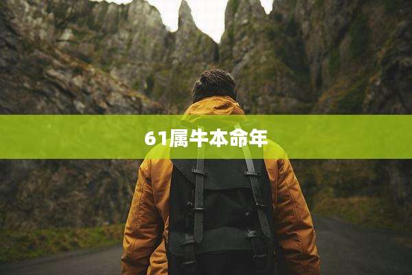 61属牛本命年