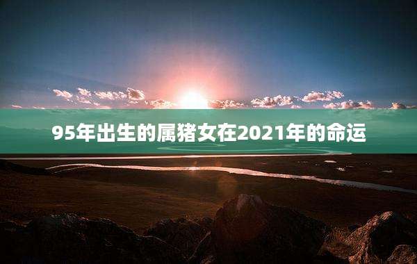 95年出生的属猪女在2021年的命运