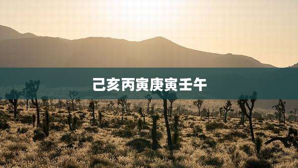 己亥丙寅庚寅壬午
