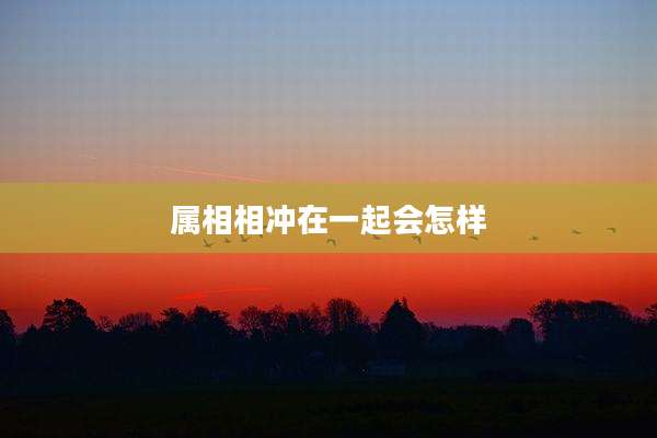 属相相冲在一起会怎样