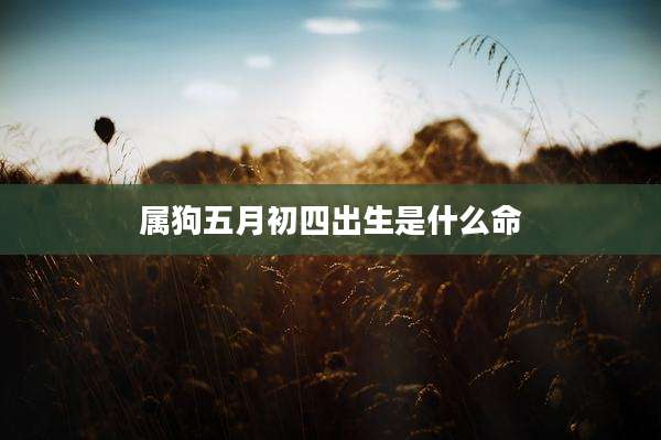 属狗五月初四出生是什么命
