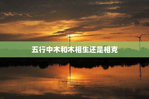 五行中木和木相生还是相克