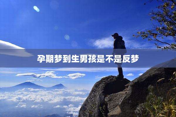 孕期梦到生男孩是不是反梦