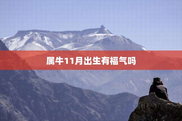 属牛11月出生有福气吗