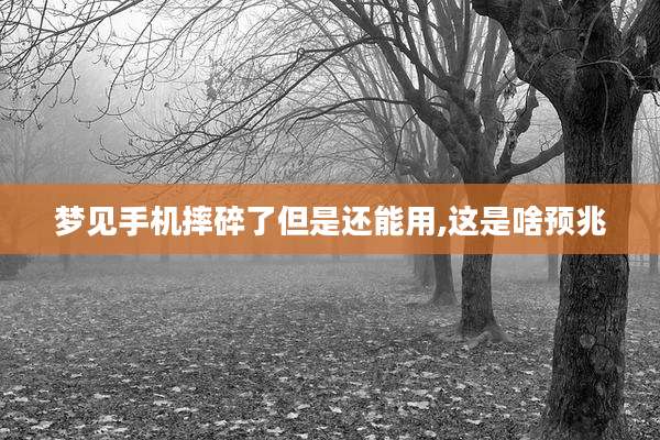 梦见手机摔碎了但是还能用,这是啥预兆