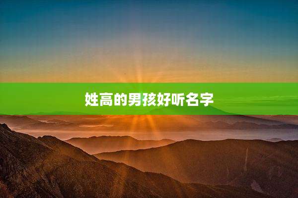 姓高的男孩好听名字