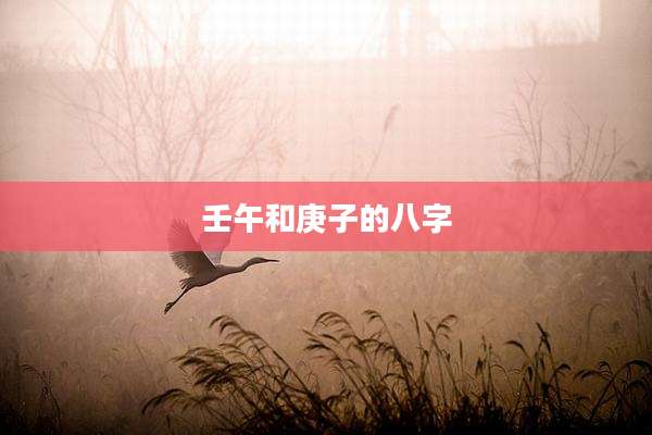 壬午和庚子的八字