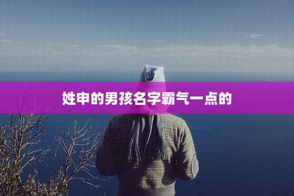 姓申的男孩名字霸气一点的