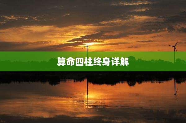 算命四柱终身详解
