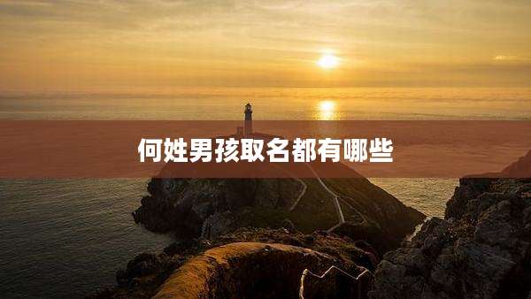 何姓男孩取名都有哪些
