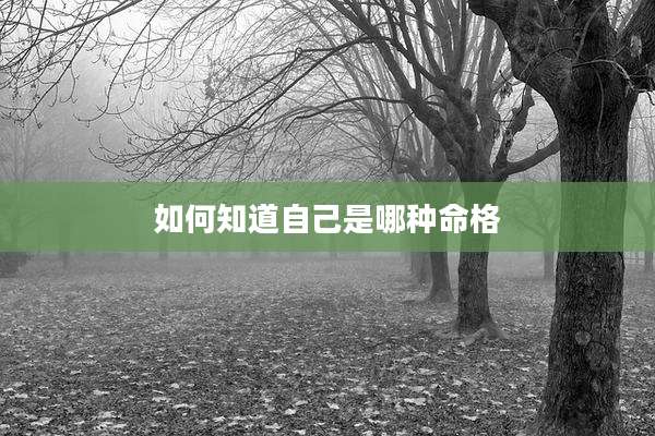 如何知道自己是哪种命格