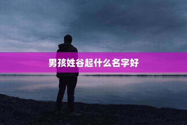 男孩姓谷起什么名字好