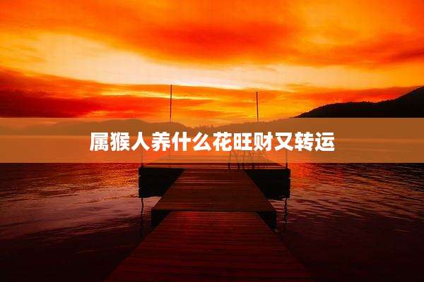 属猴人养什么花旺财又转运