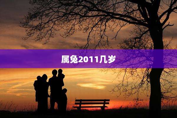 属兔2011几岁
