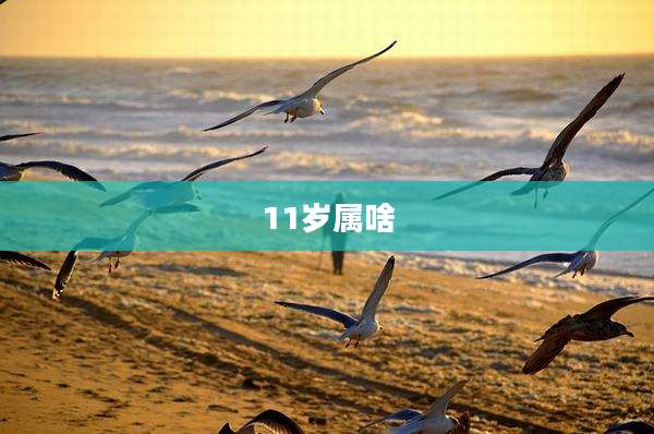11岁属啥