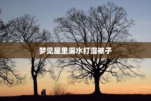 梦见屋里漏水打湿被子