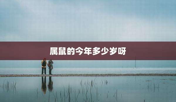 属鼠的今年多少岁呀