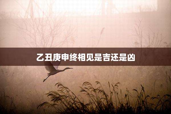 乙丑庚申终相见是吉还是凶