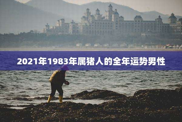 2021年1983年属猪人的全年运势男性