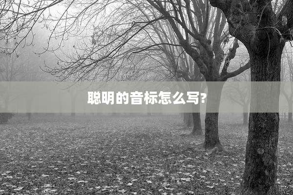 聪明的音标怎么写?