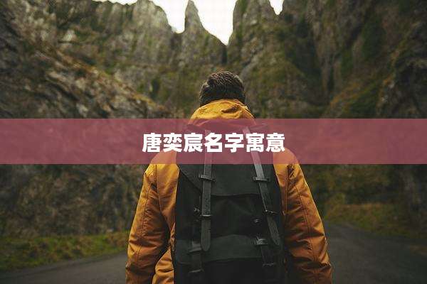 唐奕宸名字寓意