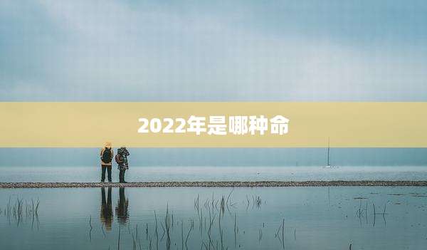 2022年是哪种命