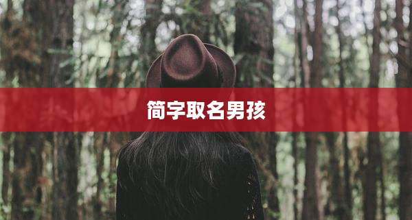 简字取名男孩