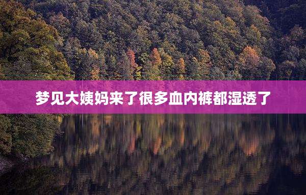 梦见大姨妈来了很多血内裤都湿透了