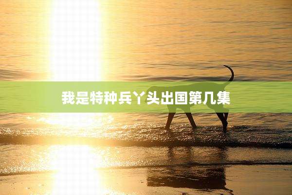 我是特种兵丫头出国第几集