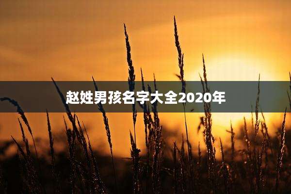 赵姓男孩名字大全2020年