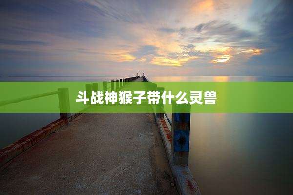 斗战神猴子带什么灵兽